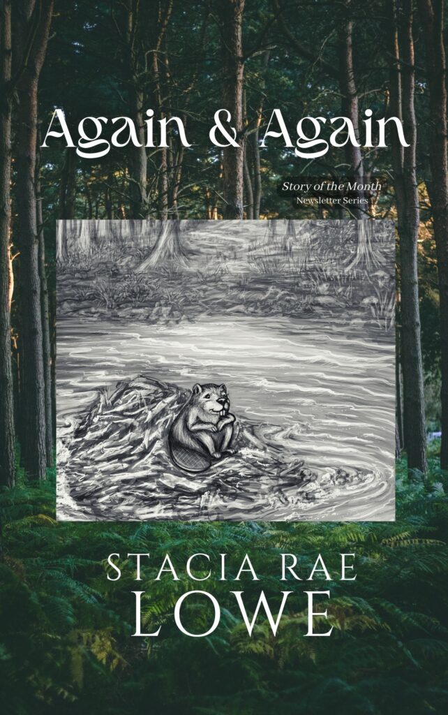 again & again book cover_staciaraelowe.com blog